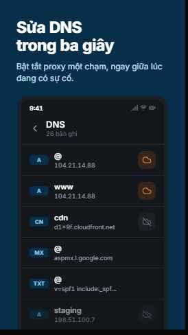 DNS screen