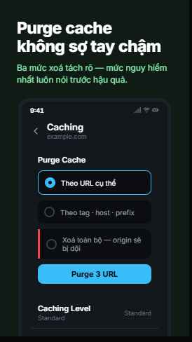 Purge cache screen